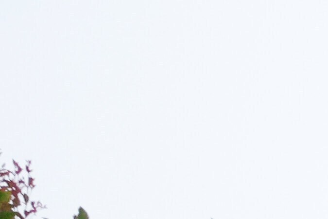 La mansión de Rob Reiner está rodeada de medios de comunicación.