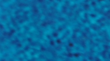 Un ritual navideño que une historia y salud en cada taza.