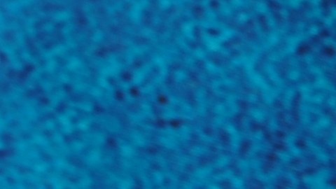 Un ritual navideño que une historia y salud en cada taza.