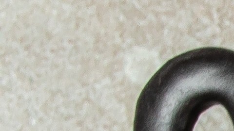 Las sobras pueden durar días y meses si las guardas correctamente.