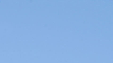 Coney Island Boardwalk