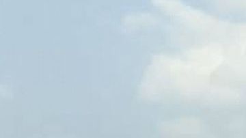 Accidente del boxeador británico Anthony Joshua en Lagos.