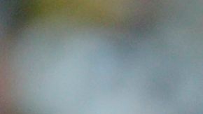 El centrocampista belga Glen De Boeck (arriba) abraza al delantero Marc Wilmots.