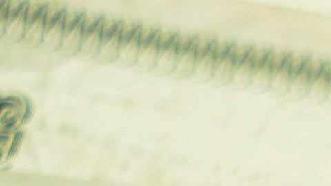 Investigan presunto fraude.