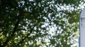 Durante la temporada navideña, el envío de paquetes puede retrasarse por alto volumen, problemas climáticos o errores en los datos e envío.