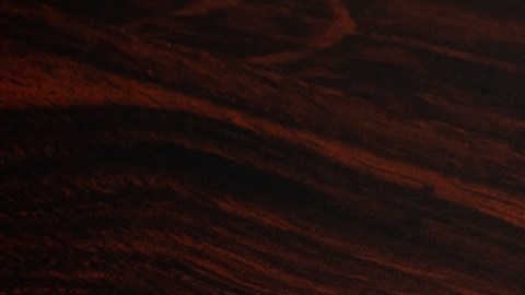 El Plan SAVE ayudó a miles de personas a pagar sus préstamos estudiantiles sin afectar sus finanzas familiares.