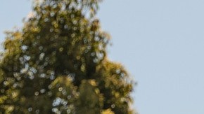 El consejo de administración de WBD ha considerado que la oferta de Netflix es más atractiva a largo plazo que la de Paramount.