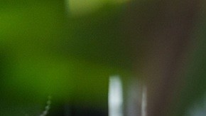 El teletrabajo se ha convertido en una opción viable de empleo, desde el confinamiento por la pandemia.