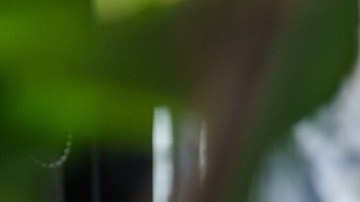 El teletrabajo se ha convertido en una opción viable de empleo, desde el confinamiento por la pandemia.