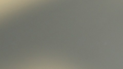 Ellen DeGeneres se mudó a Reino Unido tras la llegada de Donald Trump a la presidencia.