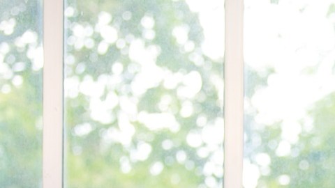 En 2025, el numero de ultrarricos aumentó principalmente en el sector de tecnología.