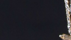 Fátima Bosch, Miss Universo 2025,