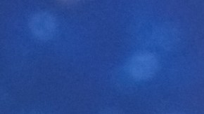 Fátima Bosch, Miss Universo 2025, ha tenido un comienzo de su reinado bastante polémico.