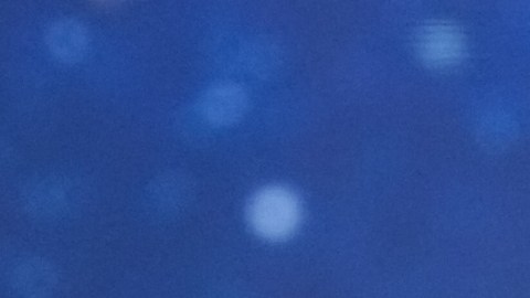 Fátima Bosch, Miss Universo 2025, ha tenido un comienzo de su reinado bastante polémico.