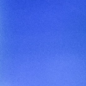 Fátima Bosch, Miss Universo 2025, protagoniza una nueva polémica.