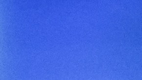 Fátima Bosch, Miss Universo 2025, protagoniza una nueva polémica.