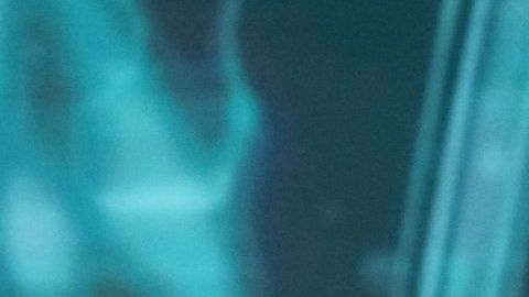 Fátima Bosch se coronó como Miss Universo 2025 en Tailandia.