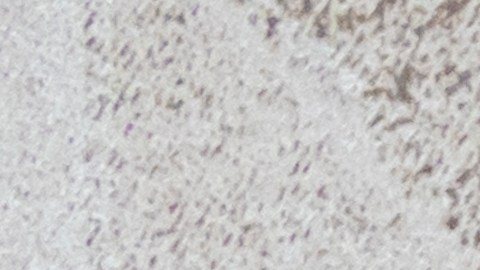 Hay frutas ricas en antioxidantes y vitamina C, que pueden ayudar a bajar de peso.