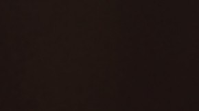 Las galletas de mantequilla de maní fueron tienen error de etiquetado, que las identifica como galletas de queso.