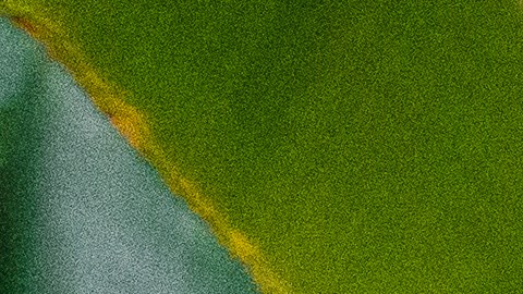 Su salud es lo que importa, inscríbase en su seguro médico.