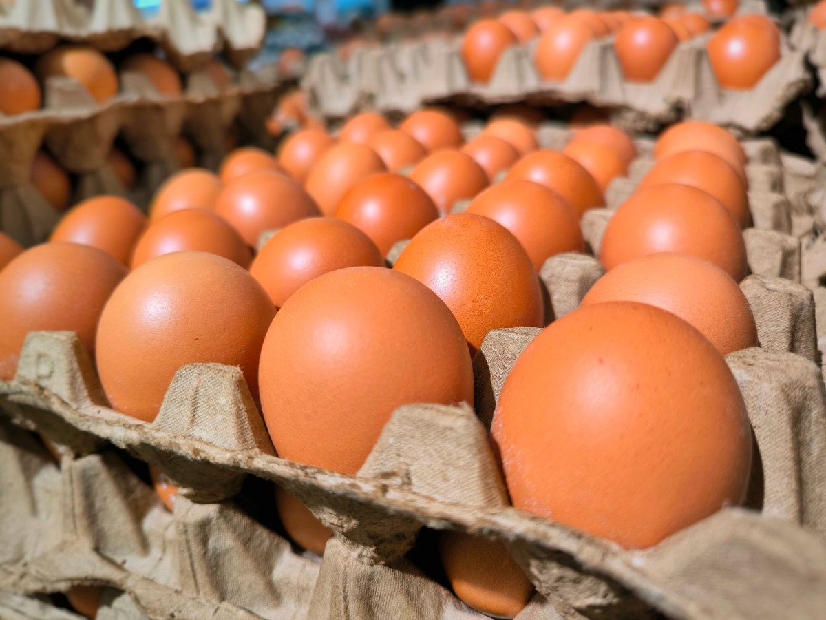 Riesgo de salmonella: retiran del mercado más de 1,500 docenas de huevos