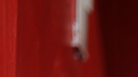 Antonnio Mohamed confía en llegar a la final de la Liga MX.