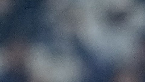 Antonio Mohamed analizará tener a Alexis Vega en la final de la Liga MX.