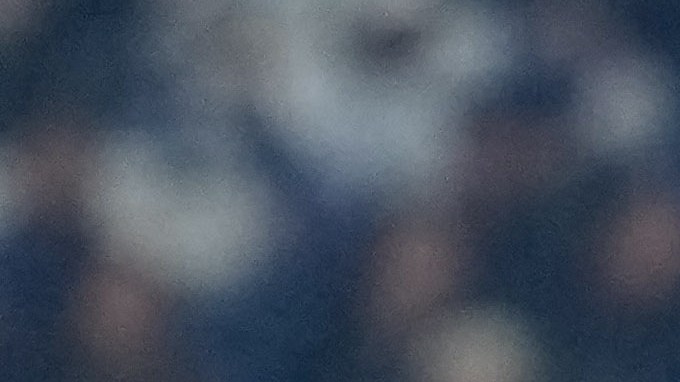 Antonio Mohamed analizará tener a Alexis Vega en la final de la Liga MX.