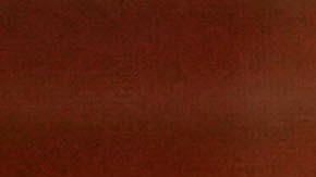 Jakkaphong fue encontrarla culpable de engañar a un inversionista al no revelar la verdadera situación financiera de JKN.