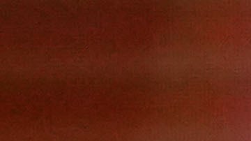 Jakkaphong fue encontrarla culpable de engañar a un inversionista al no revelar la verdadera situación financiera de JKN.