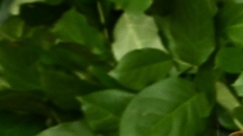 Jeremy Allen White tiene propiedades en Los Ángeles y en Nueva York.