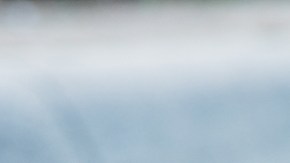 Tiroteo en Universidad Estatal de Kentucky: un muerto, un herido de gravedad y un sospechoso detenido