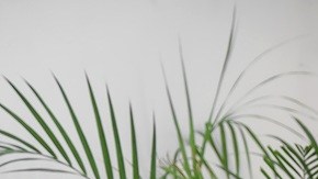 La EIA estimó que habrá un pico de demanda de gas natural en los últimos días del año por las bajas temperaturas.