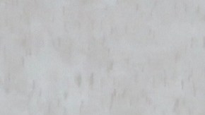 La beca Excelsior ha beneficiado a más de 330,000 estudiantes en el estado de Nueva York, para cursar sus estudios universitarios sin costo.