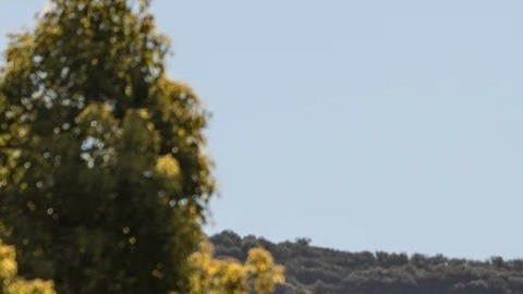 La industria del cine mostró su preocupación por el impacto de la compra de WB a manos de Netflix.