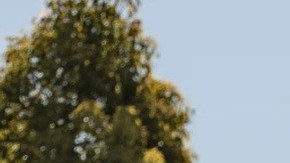 La industria del cine mostró su preocupación por el impacto de la compra de WB a manos de Netflix.