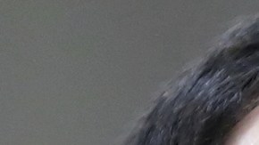 Justicia de EE.UU. desmiente carta atribuida a Epstein que alude a Trump y a Larry Nassar