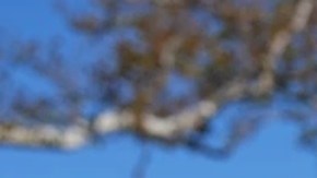 Las tasas hipotecarias en EE.UU. están cerca de su punto más bajo en el año.