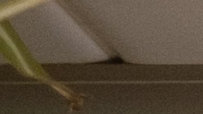 El error más común en tu cocina es un veneno invisible que absorben tus vegetales.