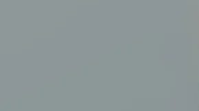 Sinnott fue acusado de cuatro cargos de contacto sexual delictivo en cuarto grado y un cargo de conducta indebida en segundo grado.