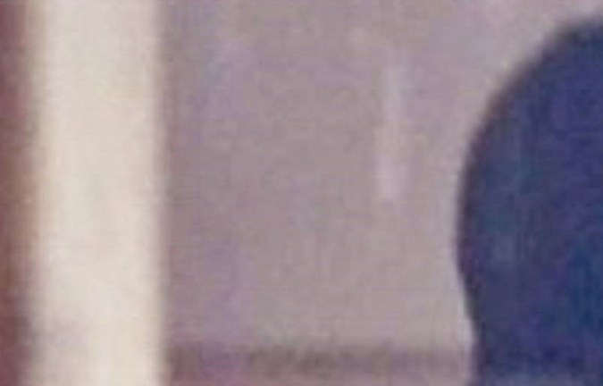 Leonardo DiCaprio kedapatan meluapkan kasih sayang bersama kekasihnya.