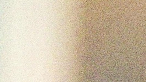 Leonardo DiCaprio sigue disfrutando de su historia de amor.