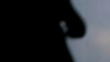 Los Tigres del Norte