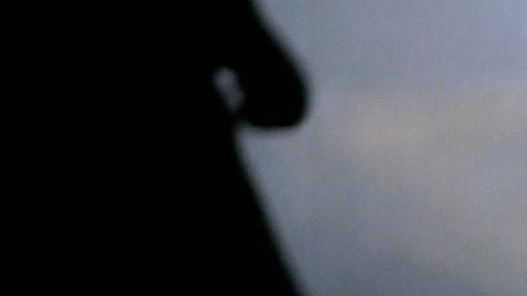 Los Tigres del Norte