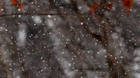 Palear nieve