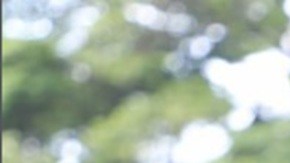 Luana Lopes Lara tiene una fortuna estimada en $1,300 millones de dólares con su empresa de predicciones, Kalshi.