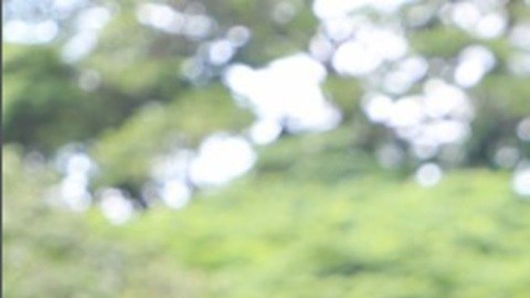 Luana Lopes Lara tiene una fortuna estimada en $1,300 millones de dólares con su empresa de predicciones, Kalshi.