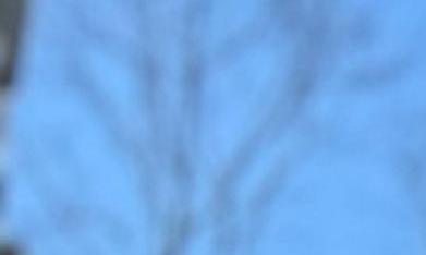 Protesta contra el consulado dominicano en Puerto Rico