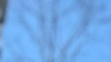 Protesta contra el consulado dominicano en Puerto Rico