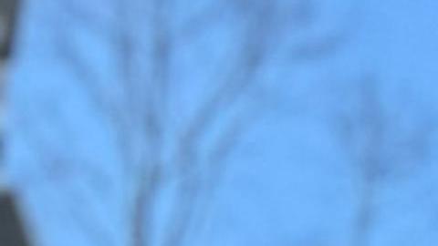 Protesta contra el consulado dominicano en Puerto Rico